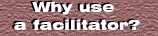 Why use a facilitator?
